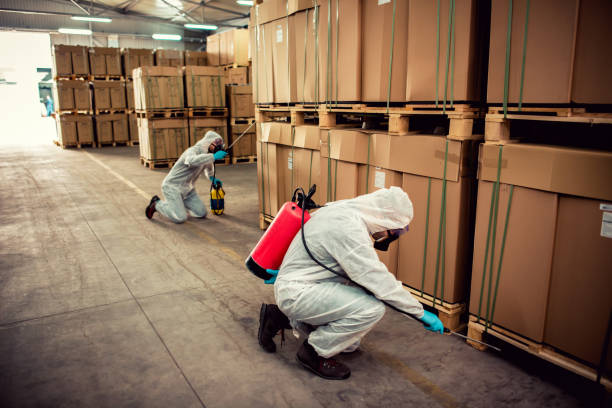 Best Best Pest Control Companies  in Freeport, FL