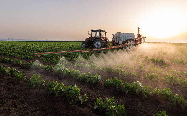 Insect Control in Freeport, FL
