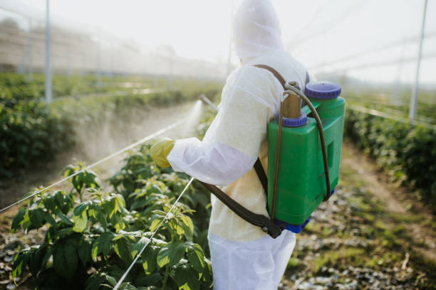 Wildlife Control Services in Freeport, FL